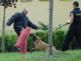 Ukázka činnosti policie a policejních psů